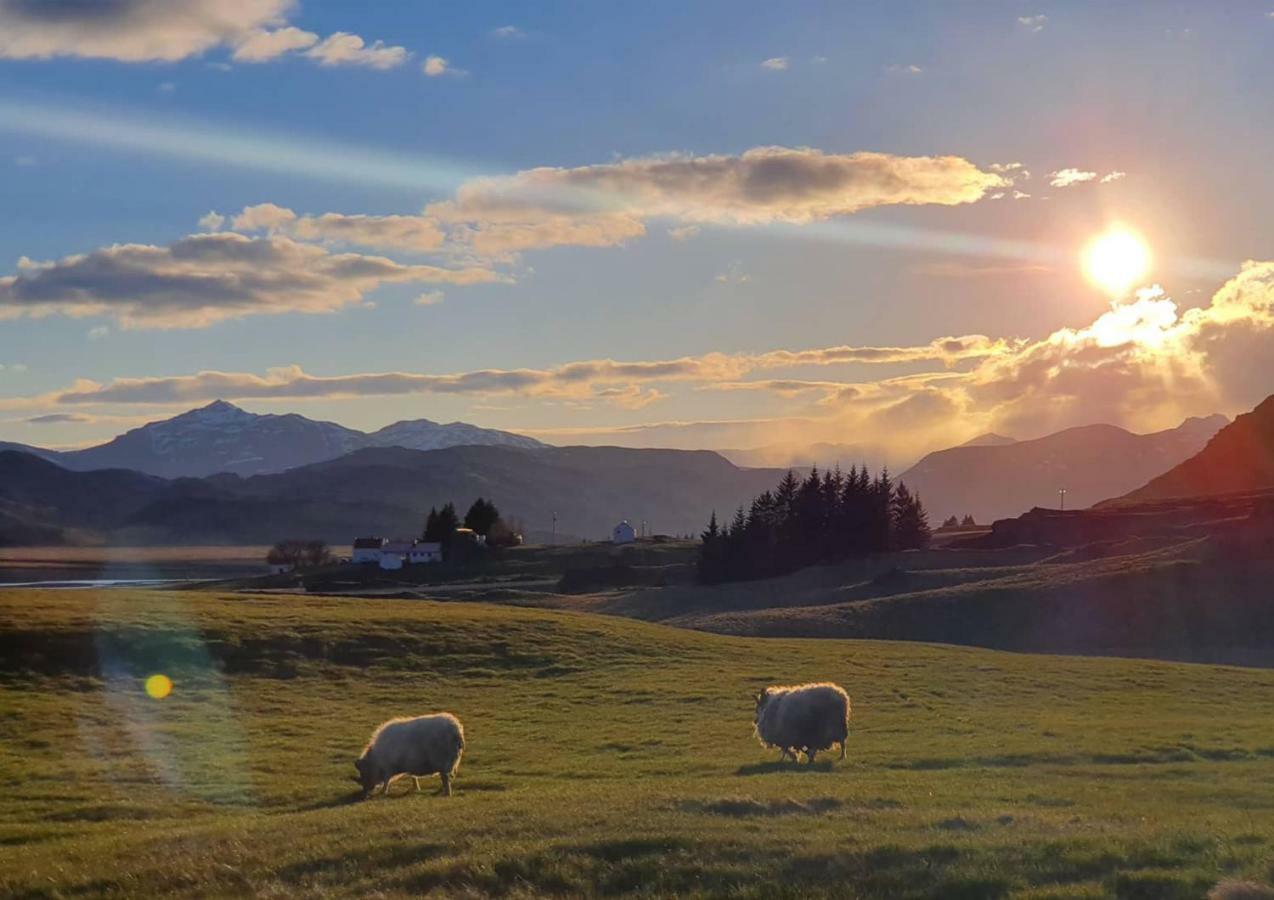 Stafafell Nature Park Camping Dış mekan fotoğraf